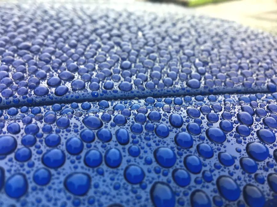Ceramic coating work by Elite Detail Studio