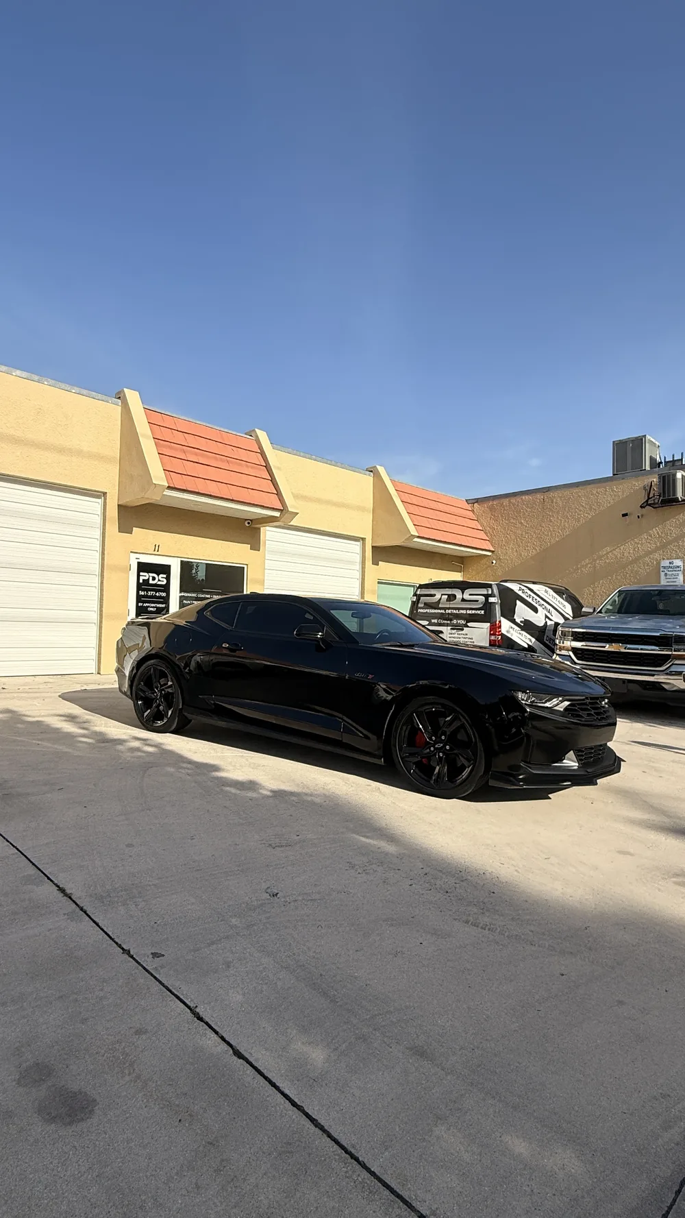 Work by Professional Detailing Service West Palm Beach