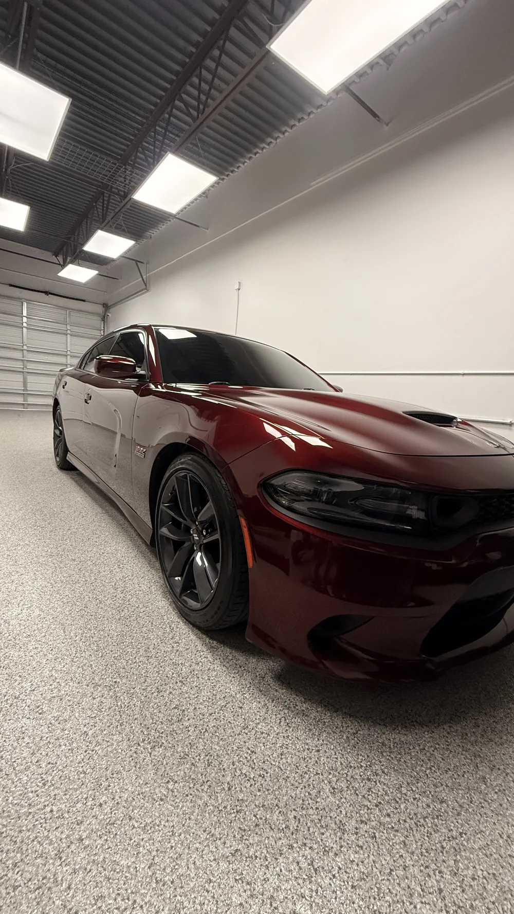 Work by Professional Detailing Service West Palm Beach